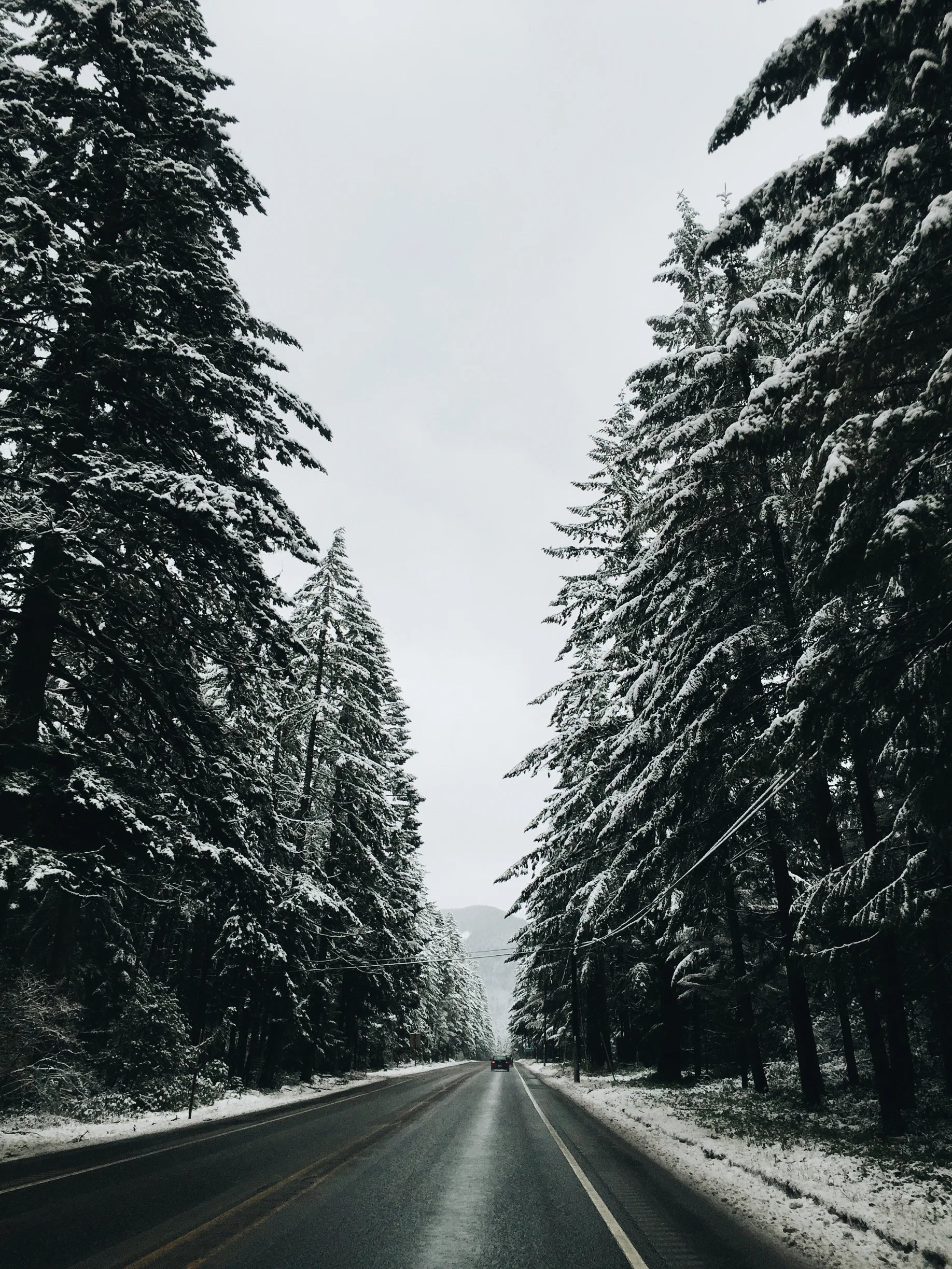Snowy forest road through the Pacific Northwest